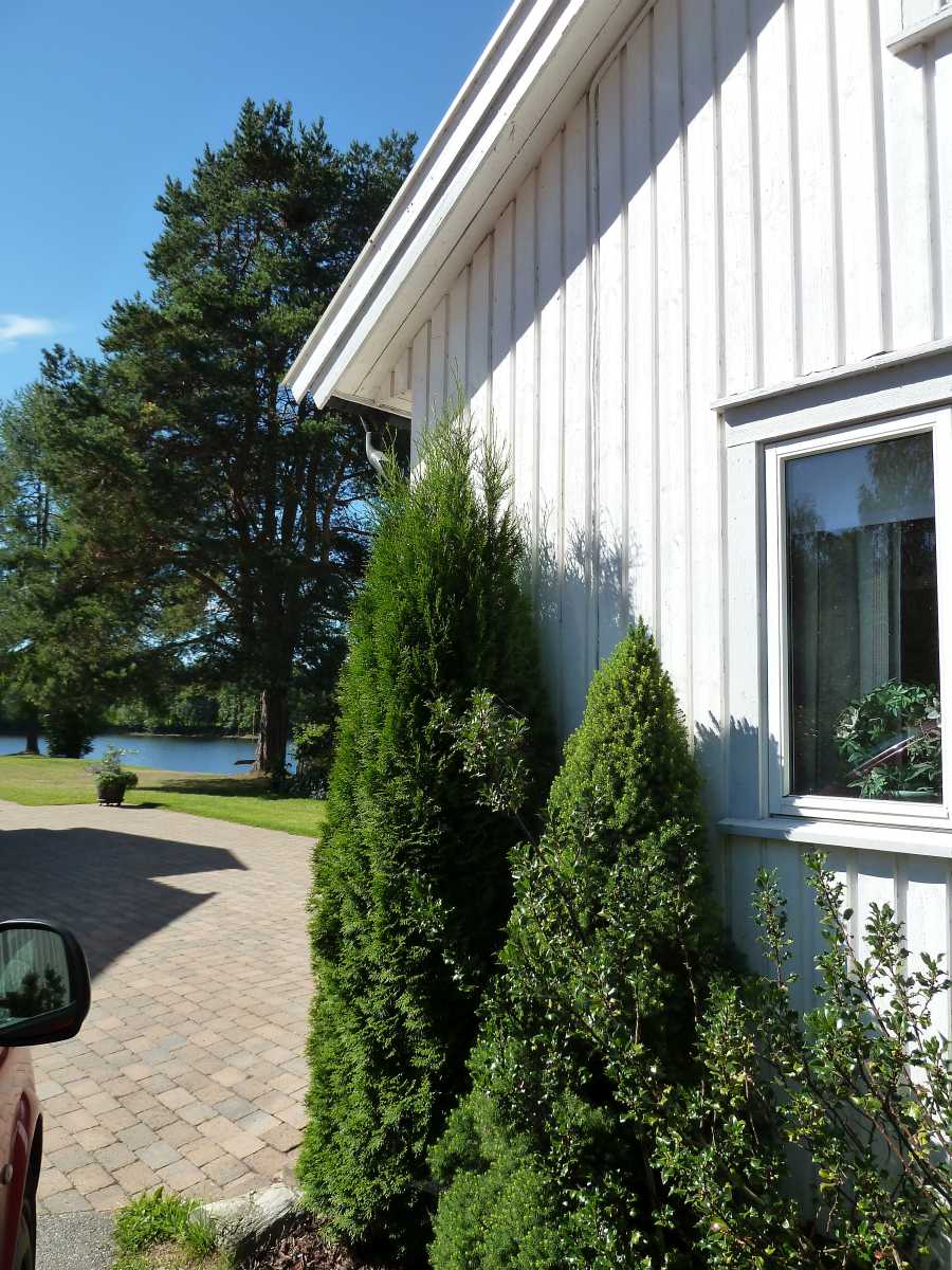 Das Haus ist nur ca. 50 Meter vom Wasser entfernt