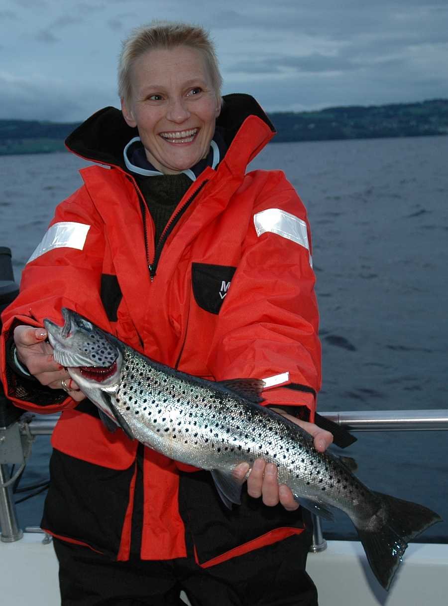 Randsfjorden-Forelle