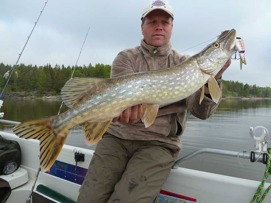 Schleppen ist oft erfolgreich