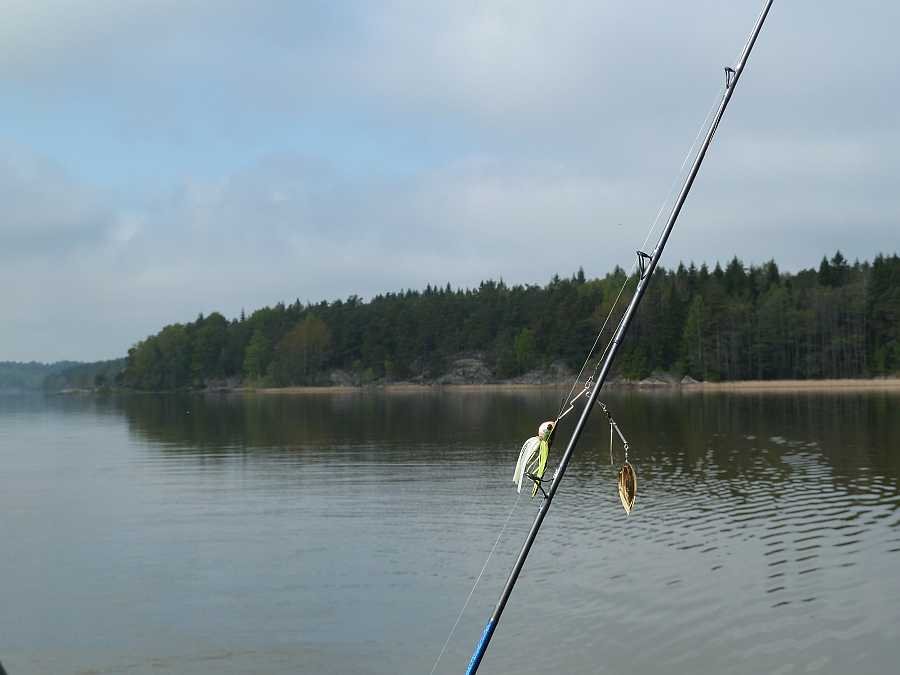 Mit Spinnerbaits befischt man im Frühjahr die verkrauteten Flachwasserbereiche