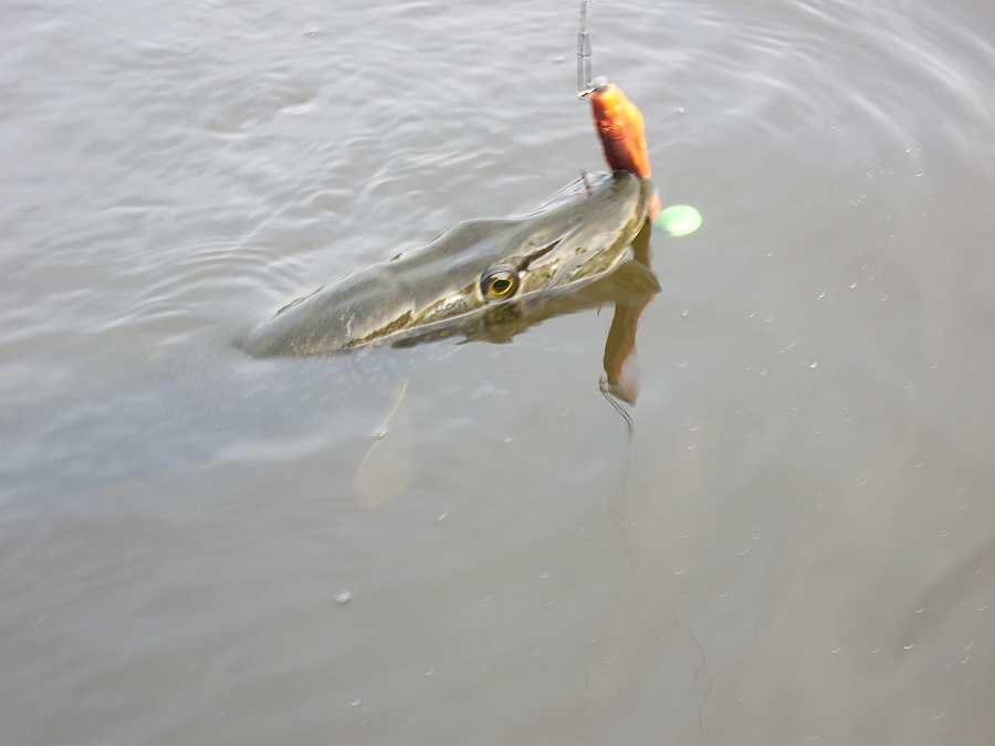 Kurz vor der Landung