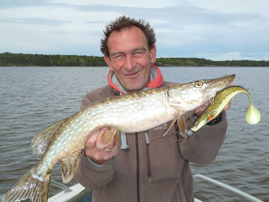 Große Gummifische sind oft die beste Wahl