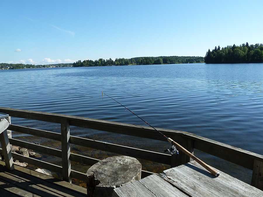 Blick vom Steg nach Norden