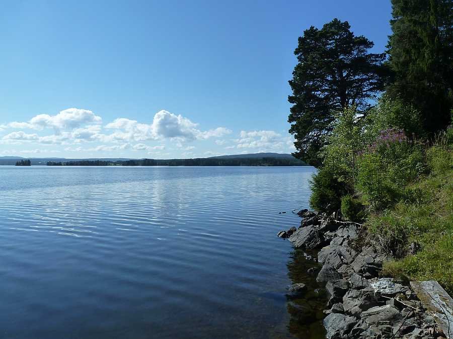 Blick vom Haus Richtung Süden