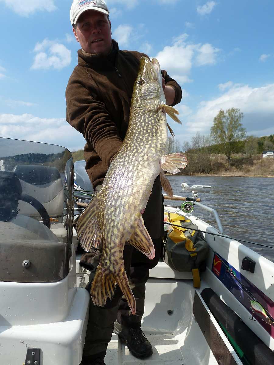 Bjørn fängt mal wieder...