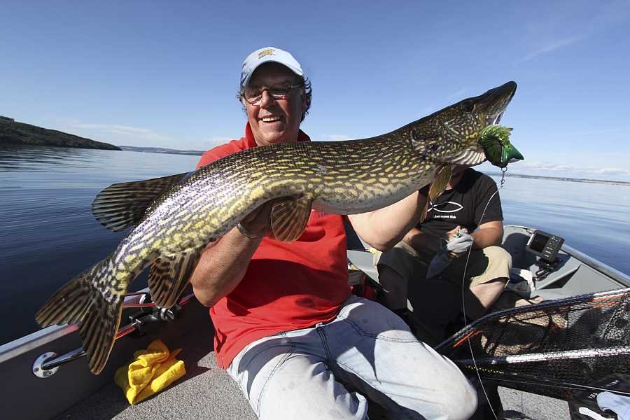 Hecht aus dem Mjøsa