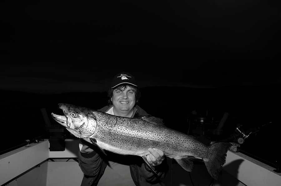 Biss in der Dämmerung.