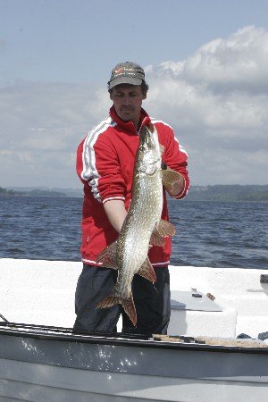 Hecht von einer Krautbank iauf dem See Øyeren Hecht von einer Krautbank iauf dem See Øyeren