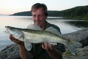 Zander in der Abenddämmerung Zander in der Abenddämmerung