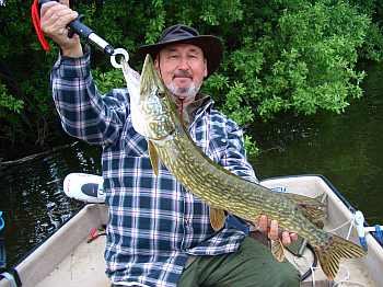 Schöner Hecht im Sommer Schöner Hecht im Sommer