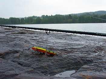 Erfolgreicher Köder... Erfolgreicher Köder...