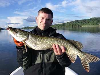 Gefangen am Mündungsbereich in den See Øyeren Gefangen am Mündungsbereich in den See Øyeren