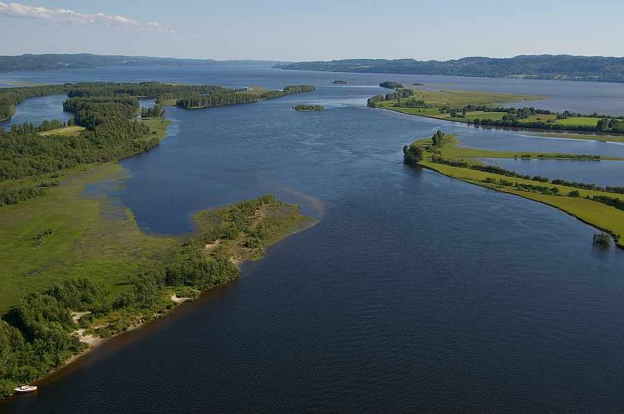 Und nochmal die Mündung der Glomma in den See Øyeren - das sind Hot-Spots!