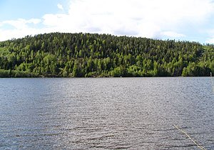 Die Glomma im Unterlauf - ein Angelparadies für Raubfische Die Glomma im Unterlauf - ein Angelparadies für Raubfische