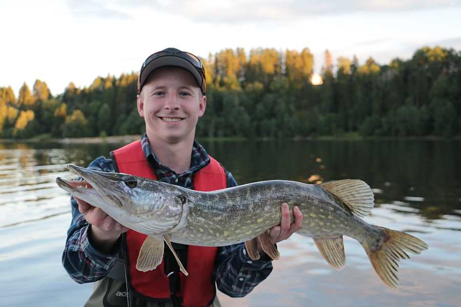 Ein erster Hecht am Uferbereich - gefangen im Juli
