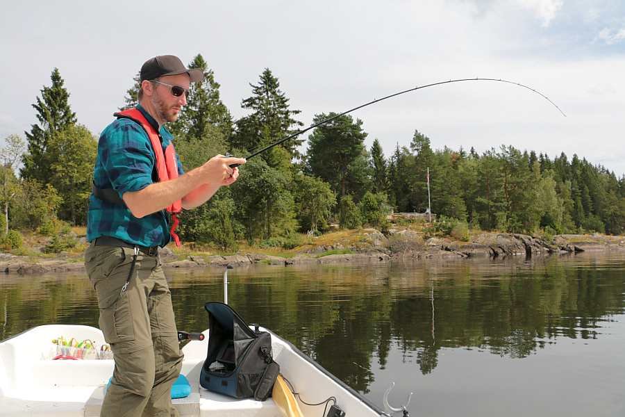 Der Anhieb sitzt....