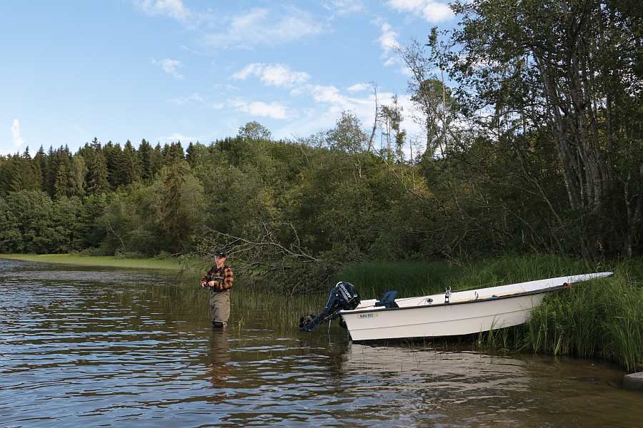 Angeln vom Ufer aus ...