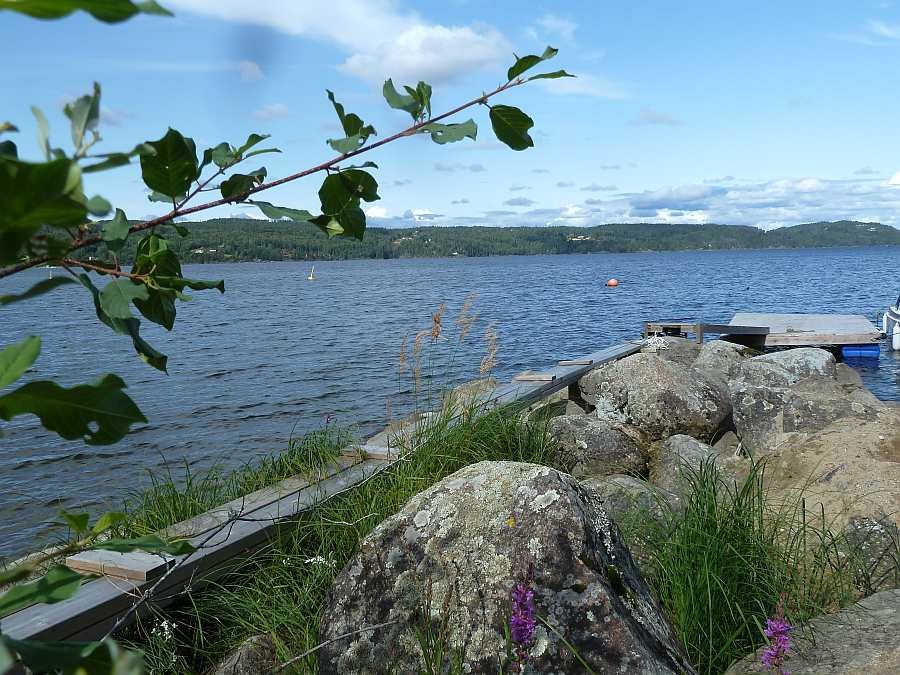 Blick vom Bootsliegeplatz auf den See