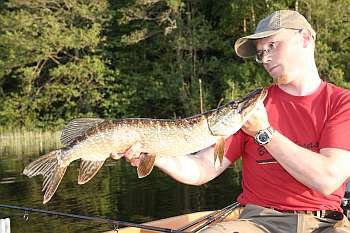 Arnulf Ehrchen von Rute&Rolle im Juni Arnulf Ehrchen von Rute&Rolle im Juni