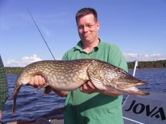 Beim Schleppen auf dem See - kapitaler Hecht Beim Schleppen auf dem See - kapitaler Hecht