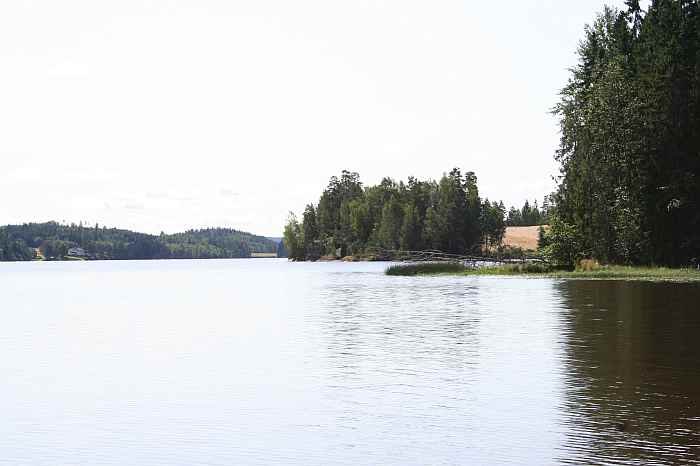 Absolut top! Der See bietet endlos viele gute Stellen zum Angeln auf Hecht Absolut top! Der See bietet endlos viele gute Stellen zum Angeln auf Hecht