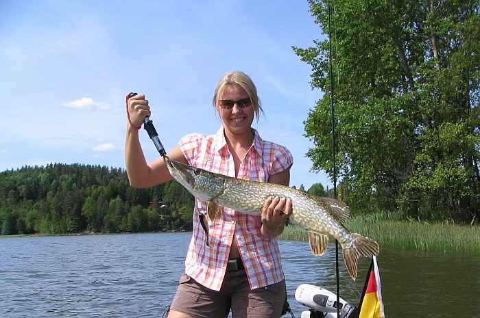 Sommer, Sonne und Fisch! das ist Hechtangeln in Norwegen. Sommer, Sonne und Fisch! das ist Hechtangeln in Norwegen.