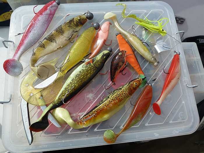 Erfolgreiche Gummis ...