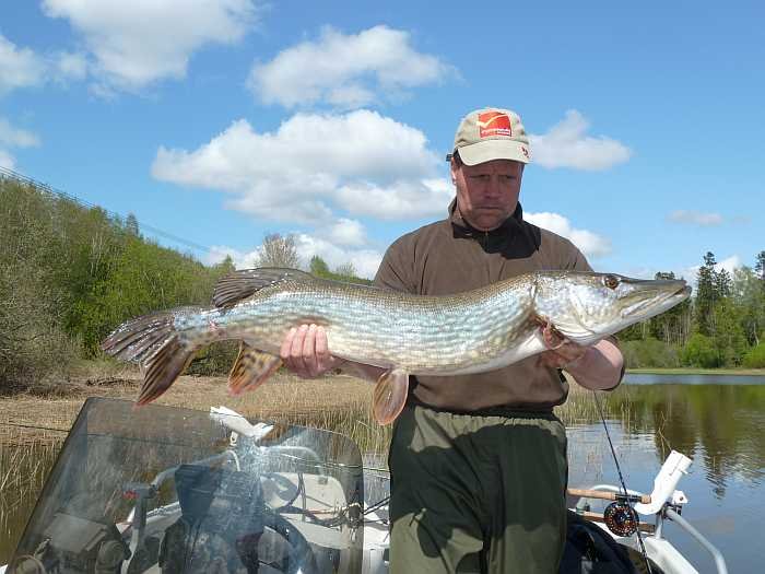 Björn beim Testangeln im Juni
