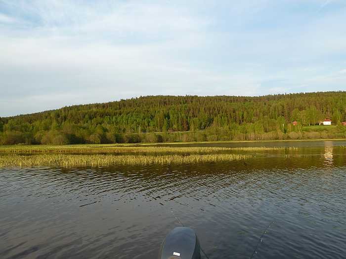 Flachwasserzone - perfekt im Frühjahr