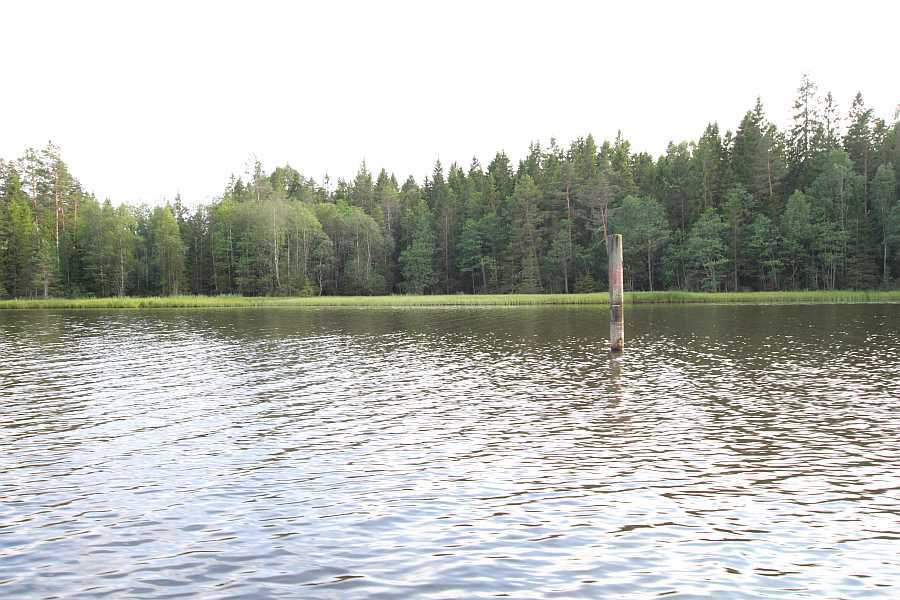 Gute Stellen im Mai/Juni