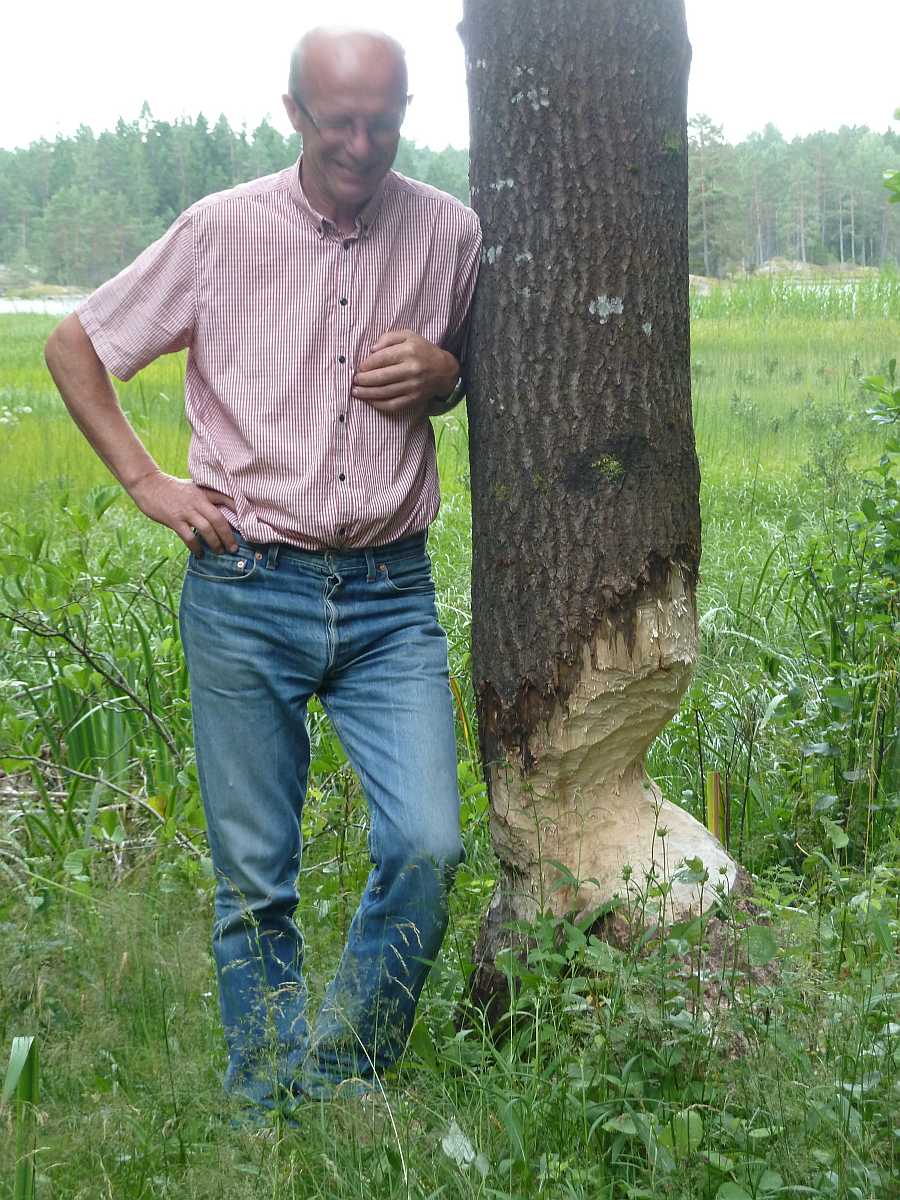 Ihre Nachbarn am Ferienhaus...   Biber...