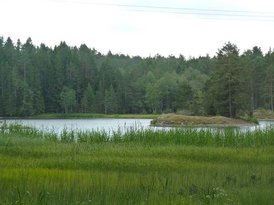 Blick vom Ferienhaus auf die Hausbucht
