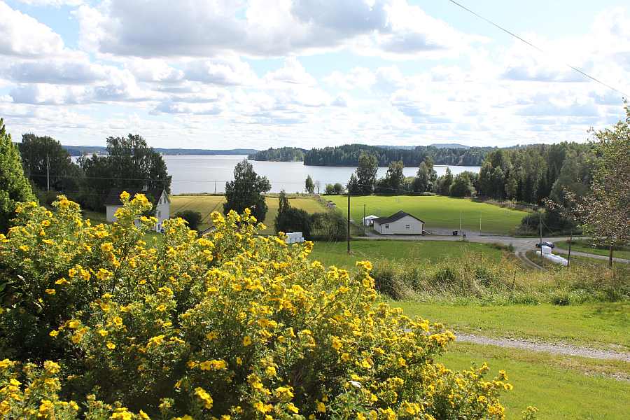 Blick vom Haus auf den See