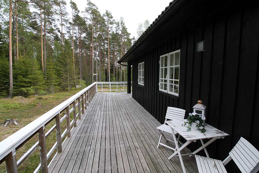 Gleich hinter dem Haus beginnt der norwegische Wald