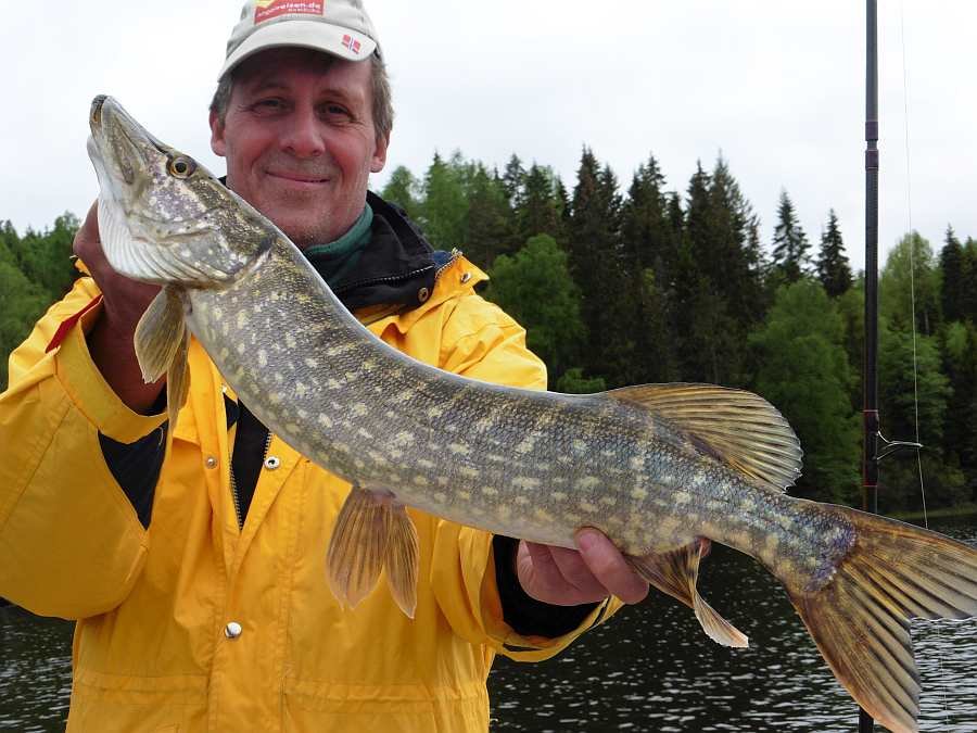 Im Frühjahr aus dem Haussee