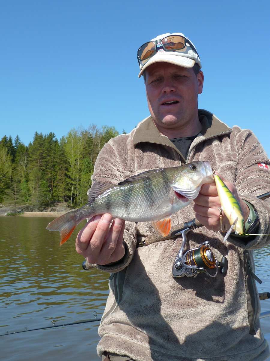 Auch Wobbler funktionieren auf Barsch...