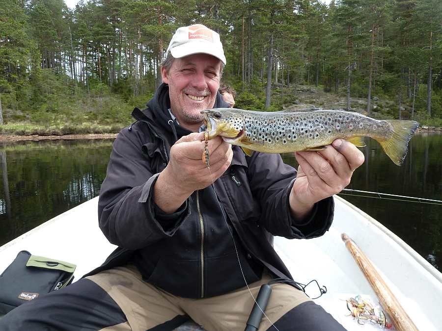 Forelle aus dem See Kløsa