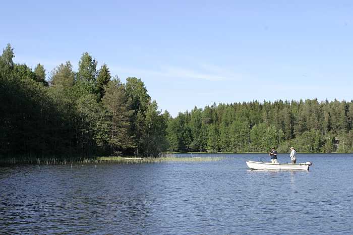 Spinnfischen über den Krautfeldern