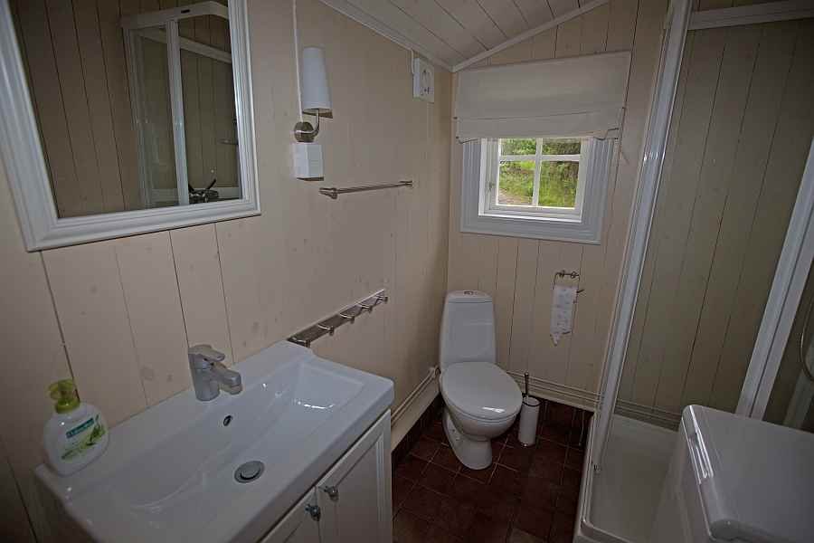 Bad mit Dusche, WC und Waschmaschine Bad mit Dusche, WC und Waschmaschine