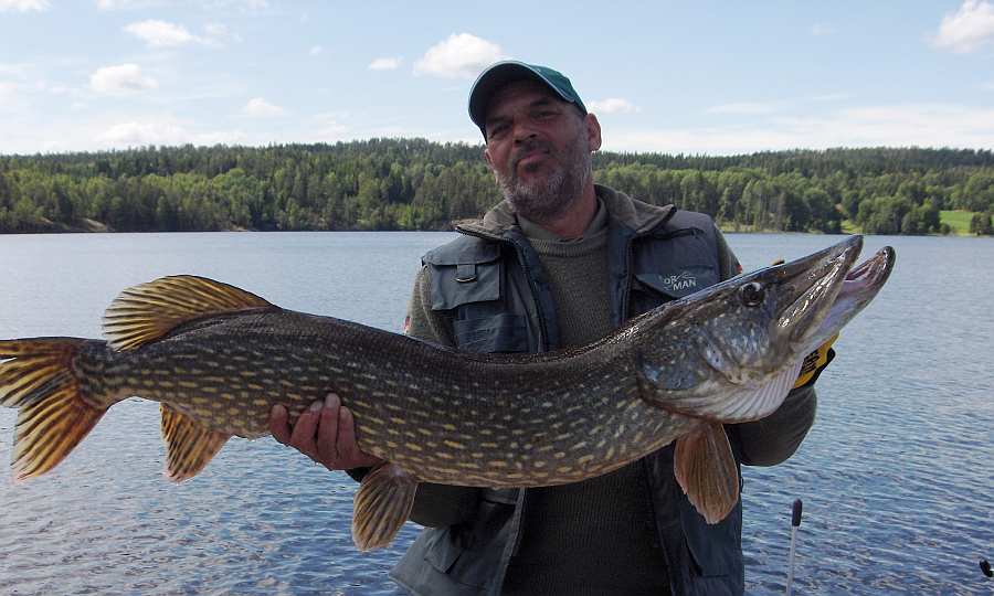 Petri! Erfolgreicher Kunde mit toller Meterware im September am See Øymarksjøen