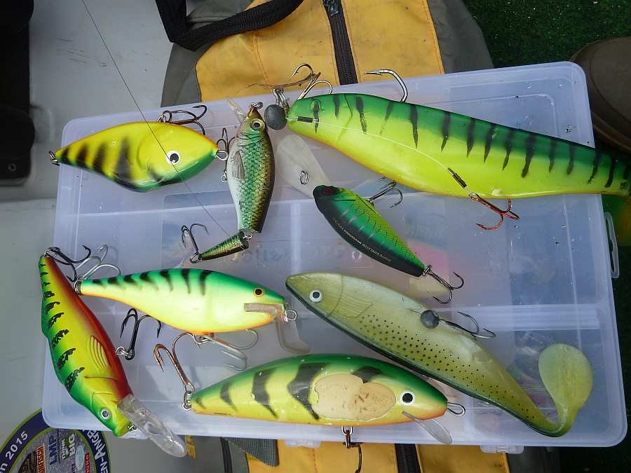 Fängige Köder an dem Tag - eindeutig grünlastig heute...