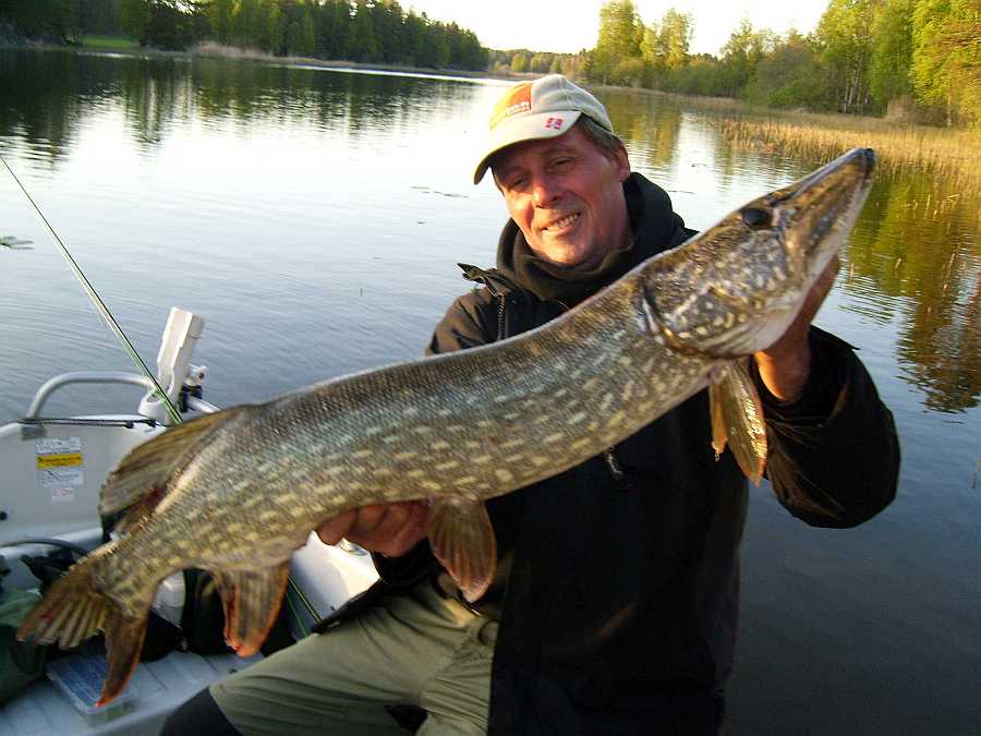 Mai - knapp unter 1 Meter