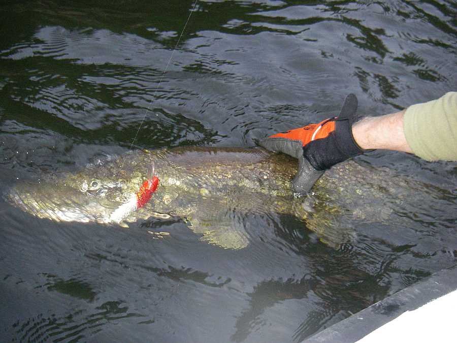Der darf nach der Landung wieder schwimmen!