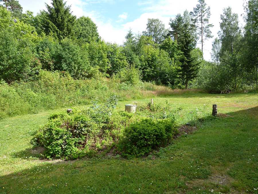 Das Kräuterbeet im Garten