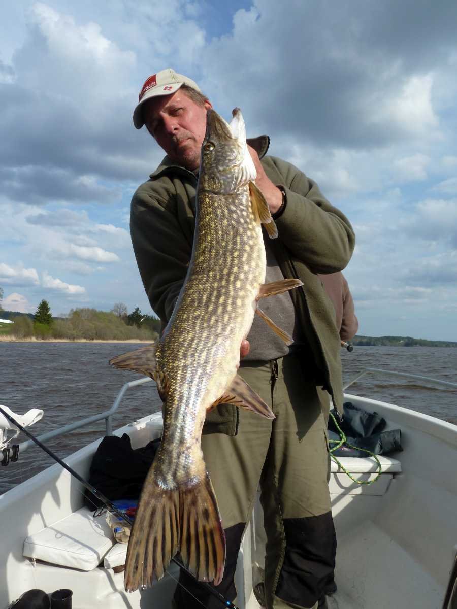 In der Bucht Folkenborgvika