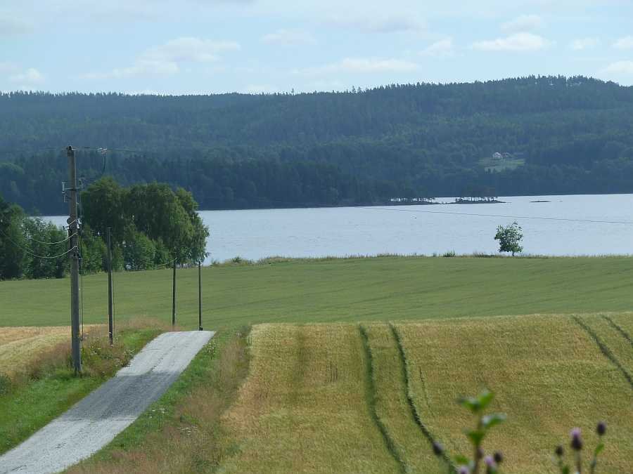 Blick von der Farm auf den See Rødenessjøen
