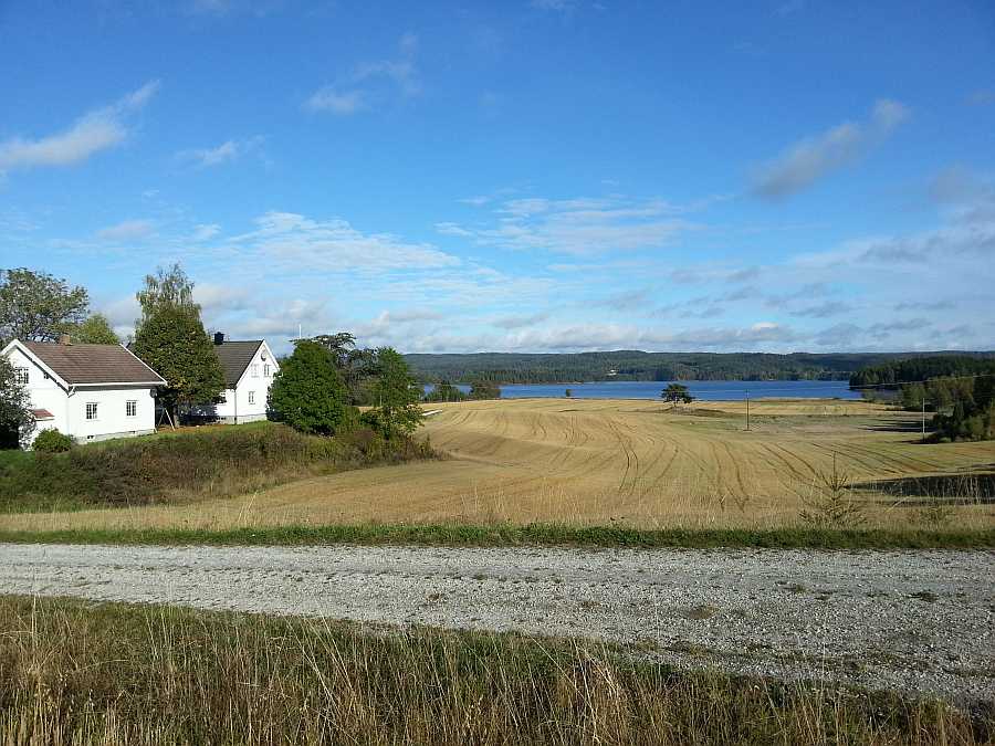 Das Farmgelände liegt idyllisch zwischen Wald und See