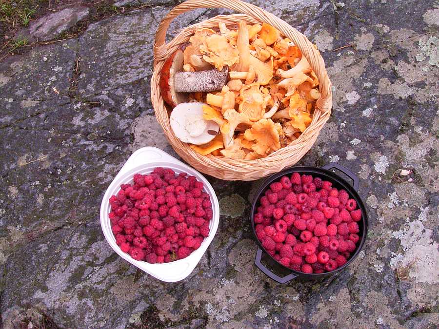 Die umgebenden Wälder bieten Beeren und Pilze