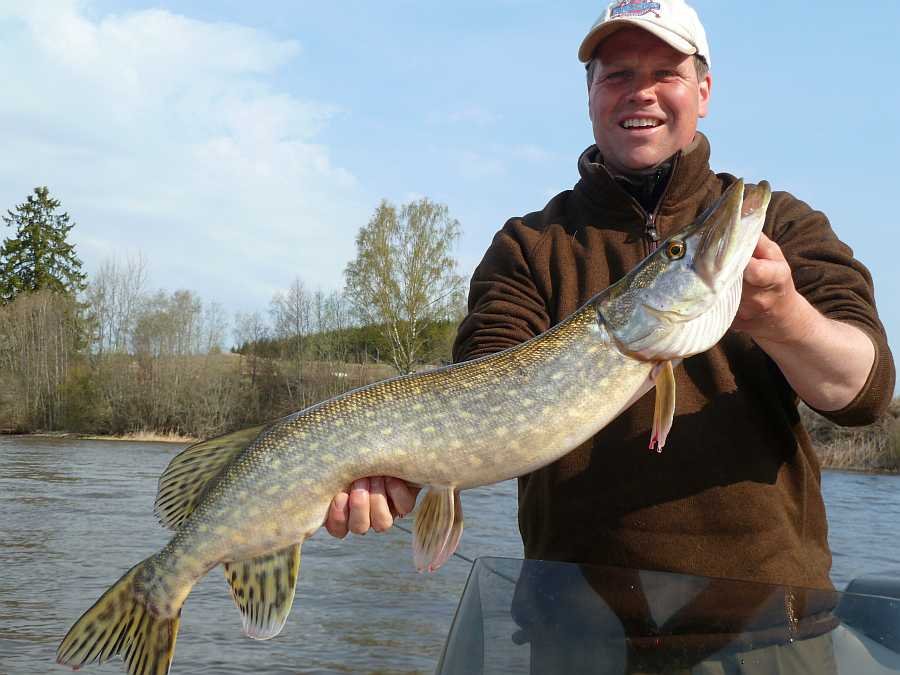 Erfolg auf Gummifisch