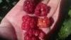 Lecker!!